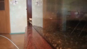 Меняем воду в аквариуме/красноухая черепаха/Уборка/