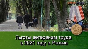 Льготы ветеранам труда в 2021 году в России