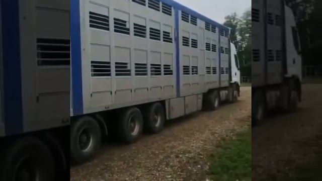 МРС на экспорт из России. смотреть онлайн