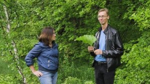 Лист лопуха лечит. От чего?