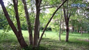 Гостиница ЧАЙКА, Светлогорск, май 2019