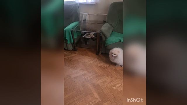 Спорт - наше всё! Борьба??