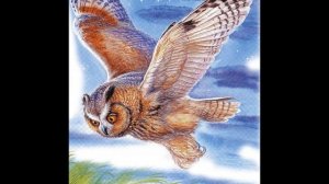 "СОВА" В.В.Бианки