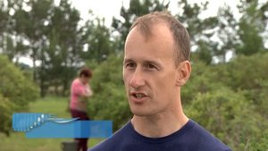 Три новых сорта жимолости вывели амурские селекционеры.