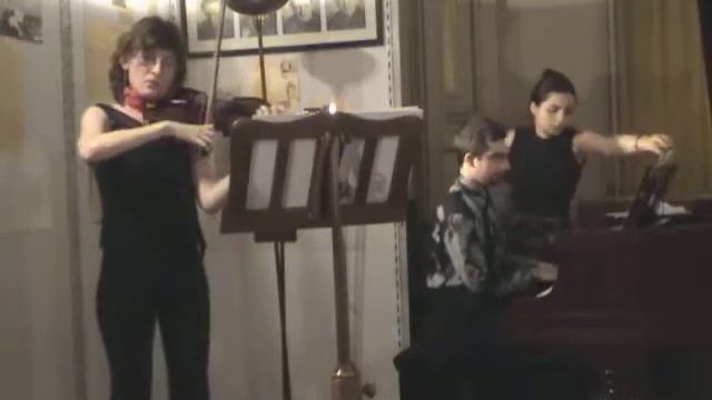 L. van Beethoven - Sonata pentru vioară si pian nr. 5 op. 24 Fa Major - Spring