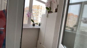 ПЕРВОЕ АПРЕЛЯ! НИКОМУ НЕ ВЕРЮ!