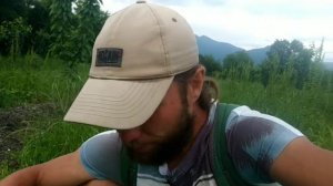 Почему клубника остаётся на плантациях, и её больше не собирают? Конец мая 2022