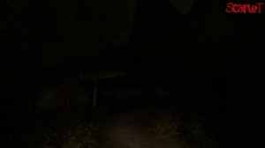 Сыграем в Forest:Звонок?!
