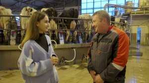 Зачем коров катают на карусели?