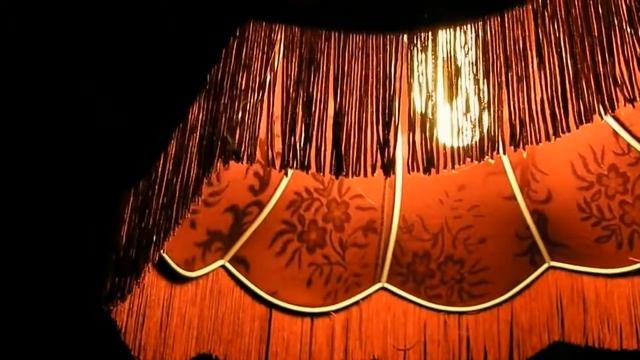 Pholcus Phalangioides by Lamplight (Cellar Spider) смотреть онлайн