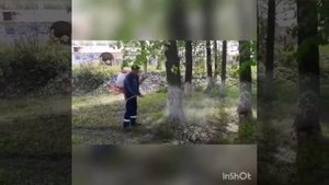 Побелка деревьев мото опрыскивателем