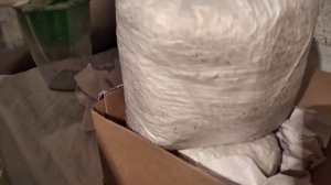 Где купить мицелий грибницу вешенки, зерновой мицелий почтой