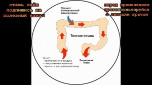 ★Никогда не терпи пуки. 8 рецептов от метеоризма. Простые рекомендации при вздутии живота.