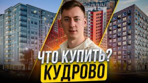 КАКИЕ КВАРТИРЫ КУПИТЬ В КУДРОВО! Доступная недвижимость в пределах СПБ