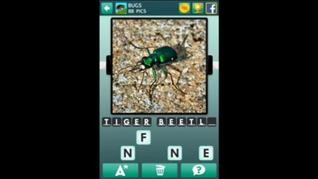 100 Pics Bugs 76-100 смотреть онлайн