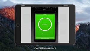 Как определить степень износа батареи iPhone и iPad – iBackupBot  Battery Life