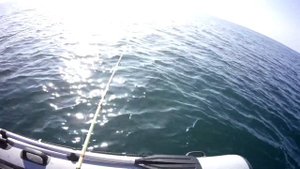 Ловля каменного окуня и морского карася в  море  с лодки.