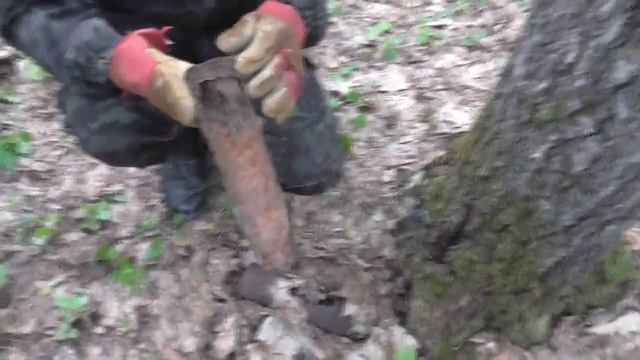 коп по войне , Калужская и Смоленская области