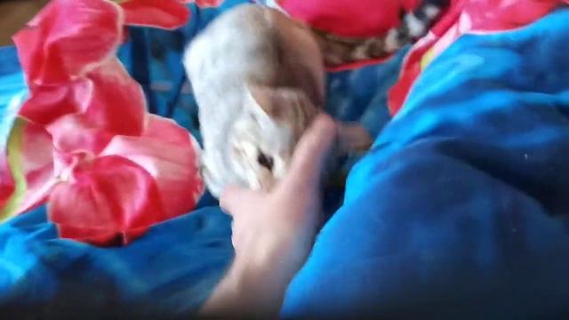 1000013678.mp4 смотреть онлайн