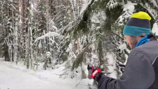 Обзор лыжной трассы при базе "Прибой", Зеленогорск, Санкт-Петербург смотреть онлайн