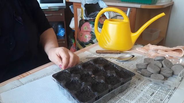 посев турецкой гвоздики смотреть онлайн