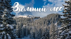Зимний лес. Красивая музыка.