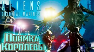 "Прерванный стазис" ФИНАЛ - ALIENS Colonial Marines Прохождение #13