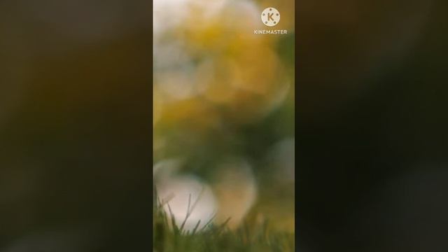 Мамины слова. смотреть онлайн