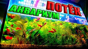 Потёк аквариум на рыборазводне МНЕ КРУПНО ПОВЕЗЛО!!!