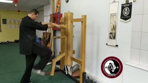 Винчунь. Свободная работа на манекене