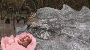 СЕЗОН ПОХОДОВ К БУРУНДУКАМ ОТКРЫТ!!!#бурундук#Екатеринбург