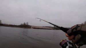 Трофейный Голавль | Ловля на Москва реке