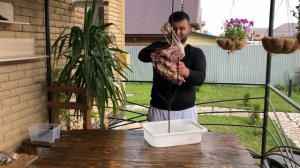 Баранья нога на вертеле, рецепт от Рината