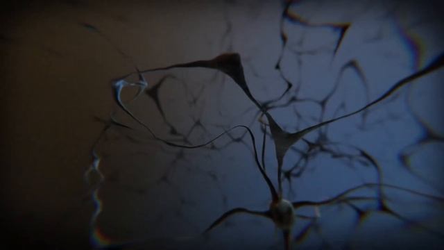 CortexSousVide Benchmark смотреть онлайн