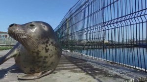 ИНТЕРЕСНЫЕ ИСТОРИИ О НАУКЕ. ЧЕЛОВЕК И ЛАРГА.