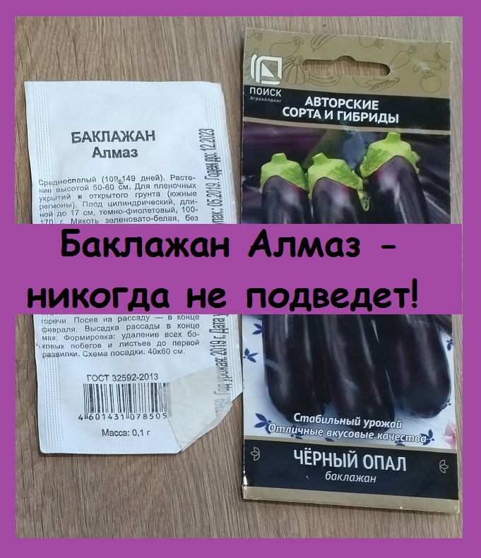 Баклажаны нужно сеять в начале февраля, чтобы они созрели пораньше, вместе с другими овощами!