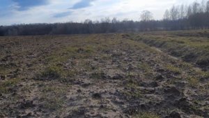 первый выход на коп в рогачевском районе эквинокс 800