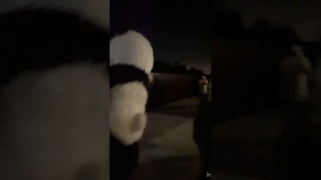 Панда. Поздравление. День рождения у девушки смотреть онлайн