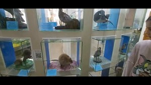 Музей "Городская дума" Тюмень 2022