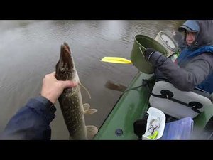 Закрытие сезона | байда-электричка | щука-полторашка | рыбалка в октябре 2023