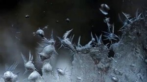 Морозные узоры. Зимние узоры на стекле