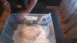 Хамон в домашних условиях , проба пера !