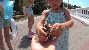 Геленджик набережная море