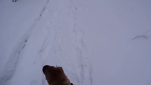 Команда педагогов школы 1290 "Всё дело в шляпе" смотреть онлайн