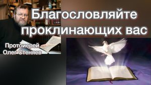 Благословляйте проклинающих вас. Протоиерей Олег Стеняев