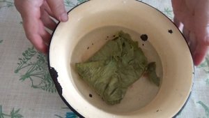 Как замораживать виноградные листья для Сарма, Голубцов, Долма, Толма