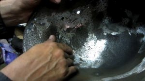 Восстановление м-17 Австриец, рогач. Александр(реставратор).Видео №100