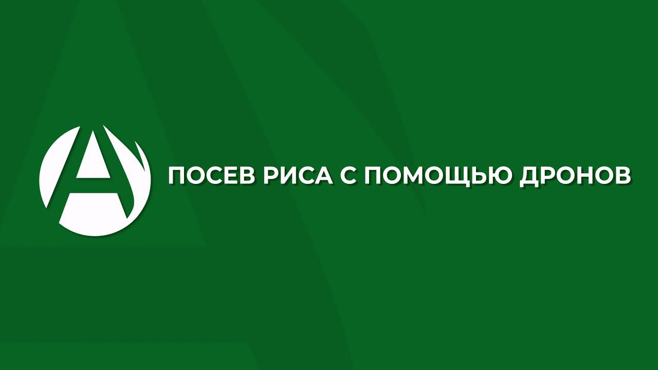 Посев риса дронами