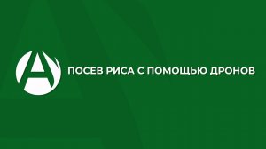 Посев риса дронами