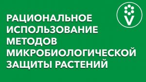 БЕСПЛАТНАЯ запись семинара Ивана Русских